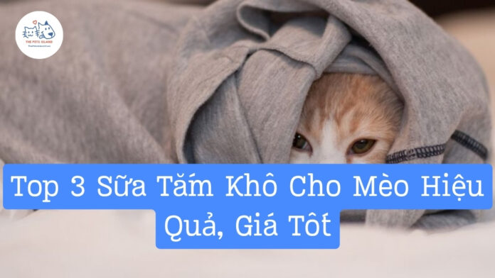 Meo.7 - Top 3 Sữa Tắm Khô Cho Mèo Top 3 Sữa Tắm Khô Cho Mèo